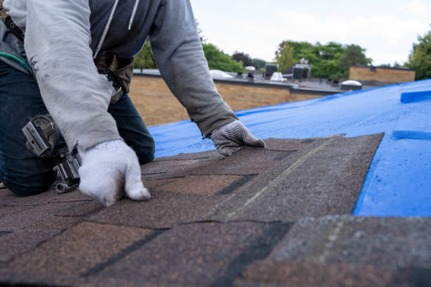 Best Roof Repair Services  in Baldwin City, KS