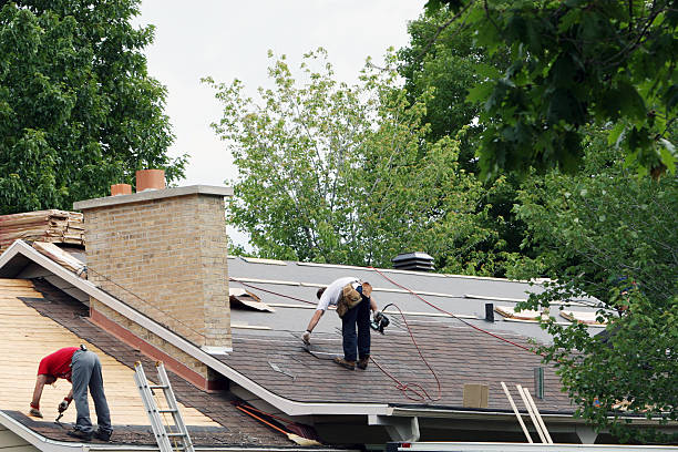 Best Metal Roofing Contractor  in Baldwin City, KS