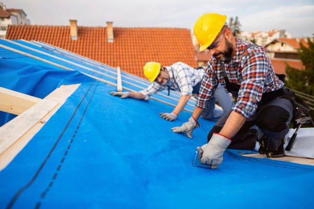 Best Sealant for Roof  in Baldwin City, KS