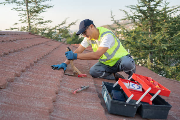 Best Roof Restoration Services  in Baldwin City, KS